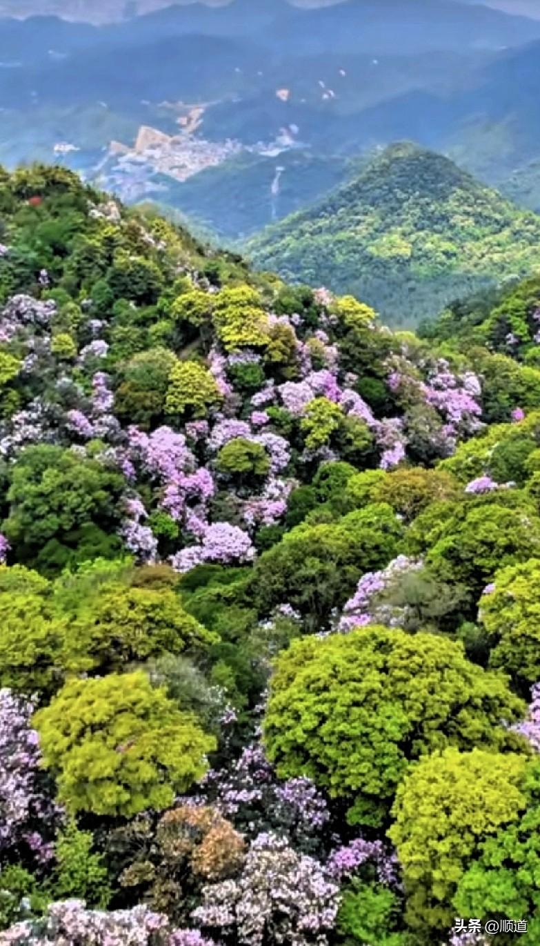 请用一句话概括一下，什么是幸福在一个悟者的意识里，根本就不存在幸福这两个字，当然