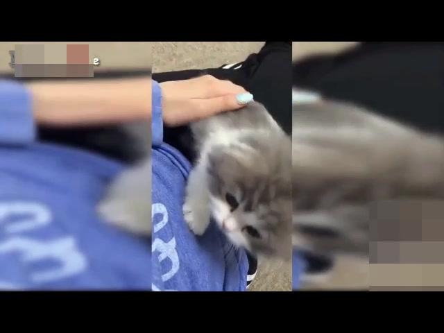 1570256788659733691.jpg?id=0