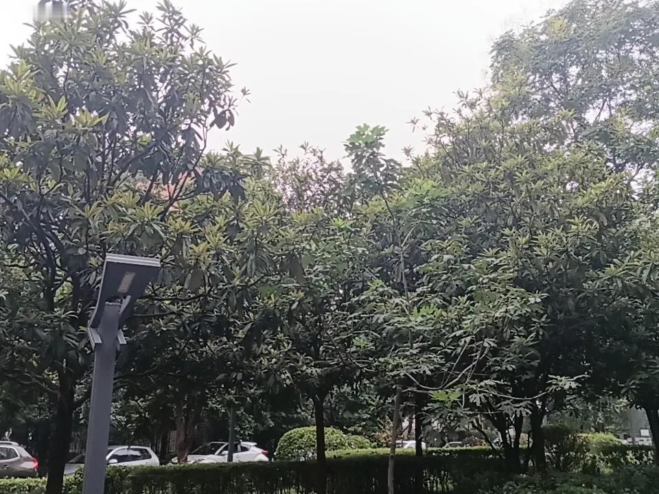 炒股的三个境界：第一层（入市三年以内）：标签：大鹏一日同风起，扶摇直上九万里