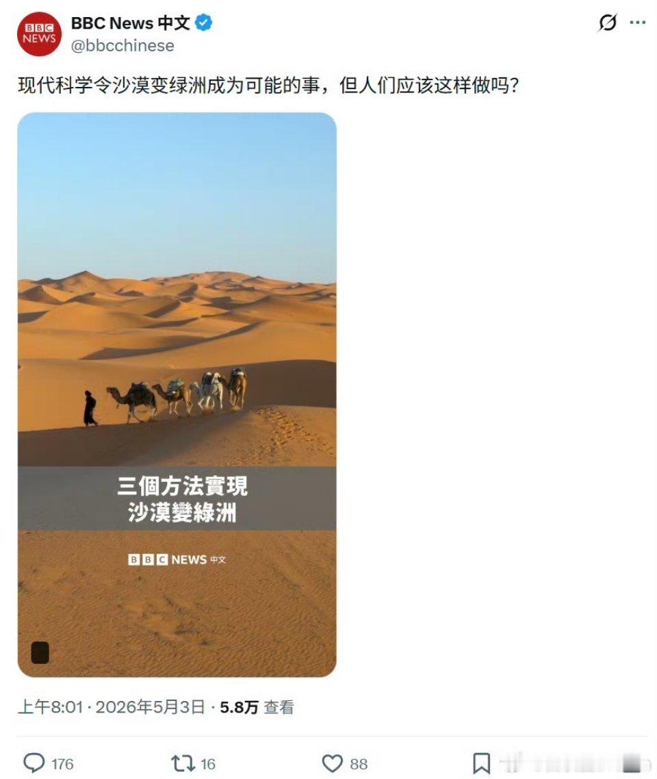 反思怪又开始了