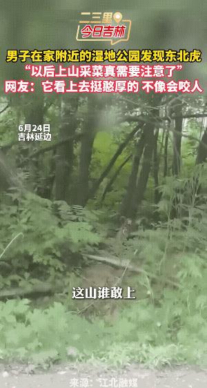 老虎：我在蹲坑，你在干嘛？这山谁敢上，你不是上来了吗？不过，他是本地的，是虎