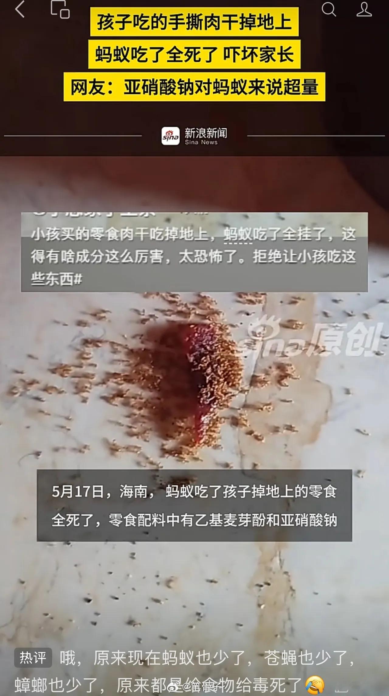 这事我查了一下，千真万确！不是什么都市传说。就在前几天（5月17日），海南一位宝