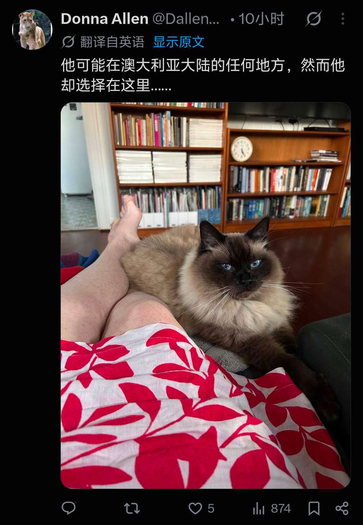 好可爱好可爱好可爱……​​​