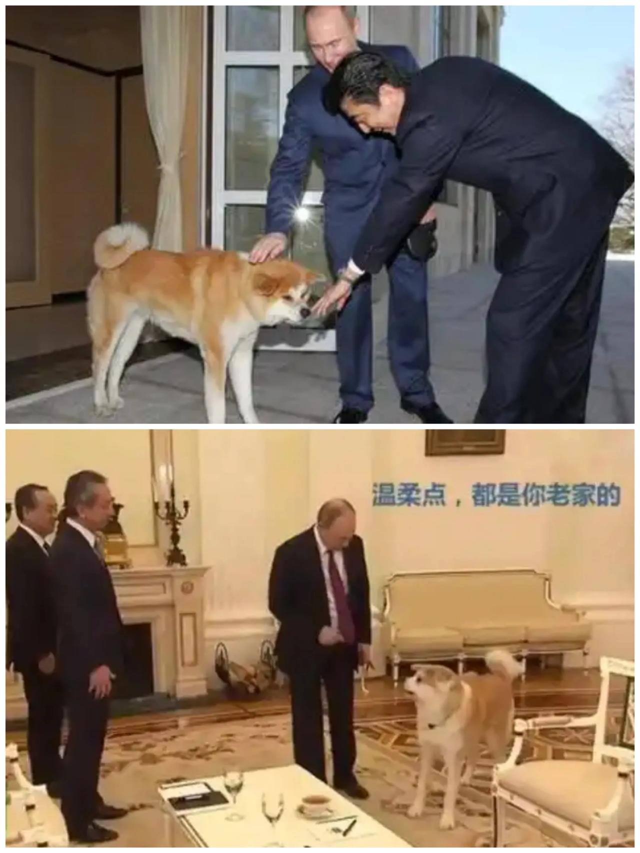 只需要几秒钟看完你发现很有收获……第一张图：日本前首相安倍晋三在任期间，日本