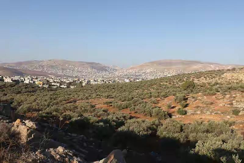 以色列在约旦河西岸大开杀戒截至12月5日，以色列军队完成了在约旦河