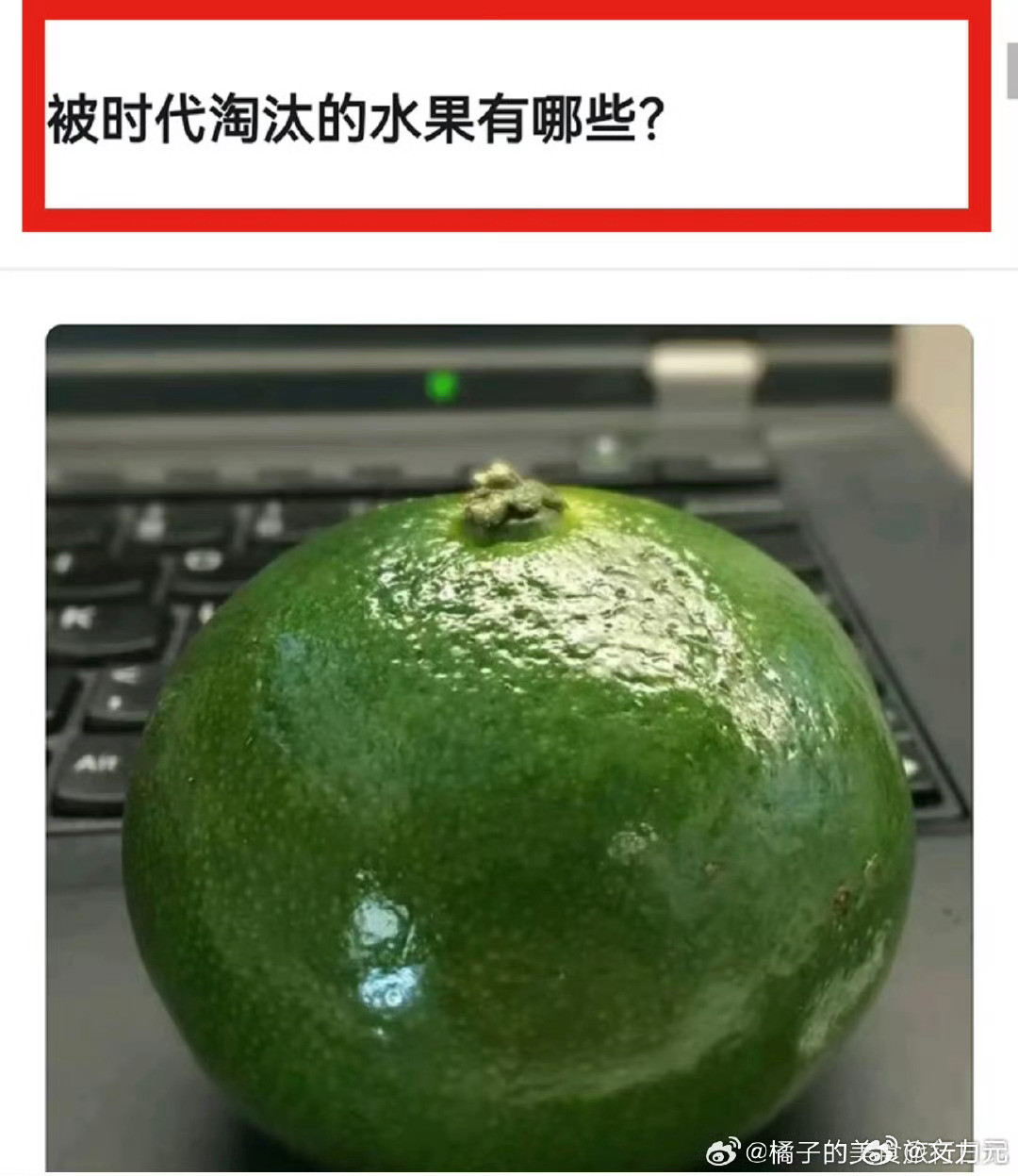 被时代淘汰的水果，青桔子也还好吧，只是不流行了，但还有的卖，但有个东西是花钱，现