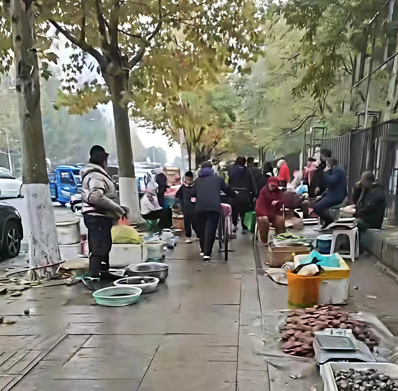 这个小市场位于营口鲅鱼圈鞍钢公寓，红旺超市到番茄小市场一条人行道上，隔着栅栏是鞍