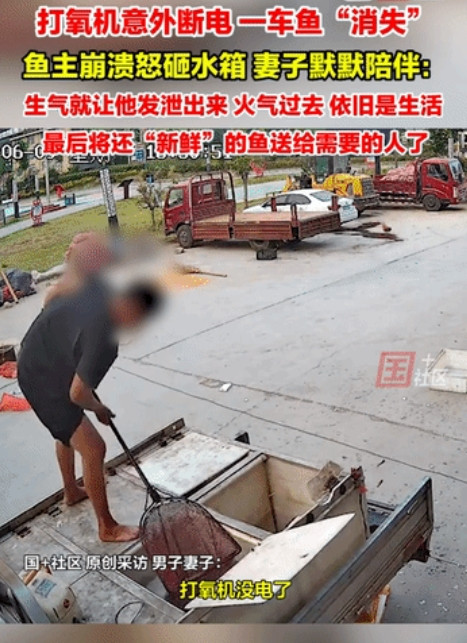 懂你的人一定爱你！男子拉回来一车鱼，途中打氧机断电，掀开水箱盖的那一刻，发现鱼全