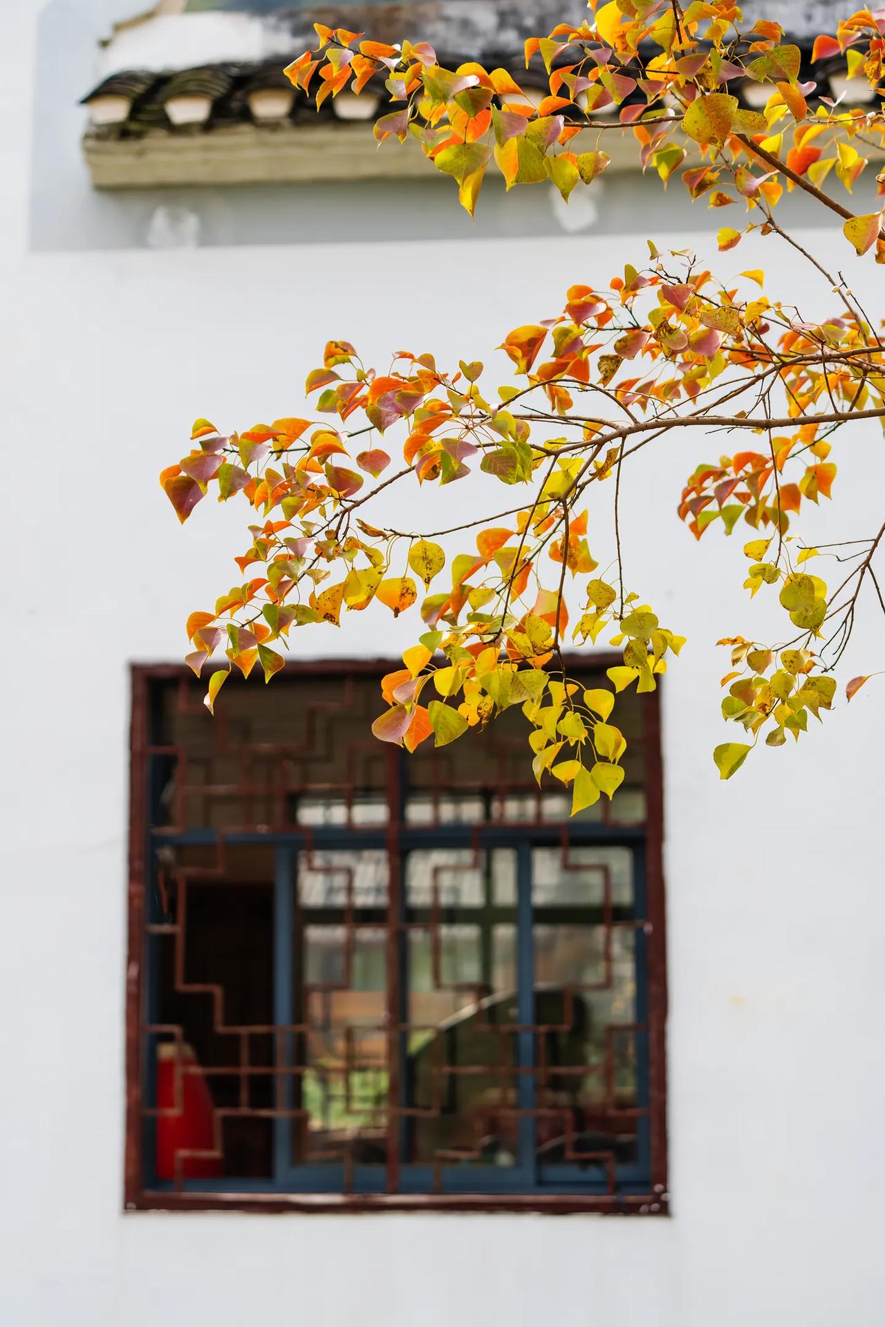 一个本来富裕的国家，因为他们的执政，把国家搞得民生凋敝，满目疮痍，这样的人如果再