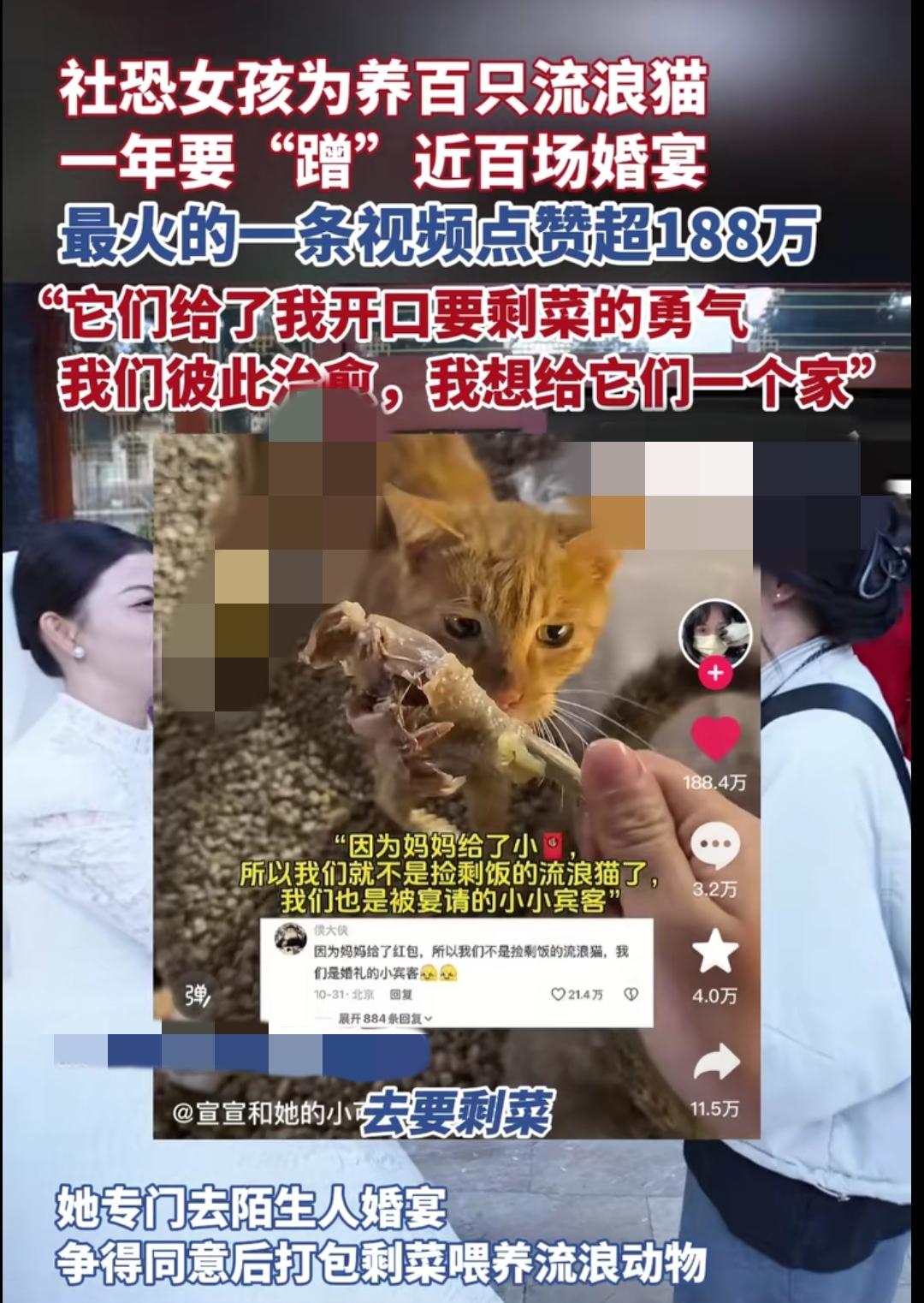 云南这姑娘的操作，把“社恐”和“勇敢”焊在了一起。27岁的宣宣为喂120只流浪猫