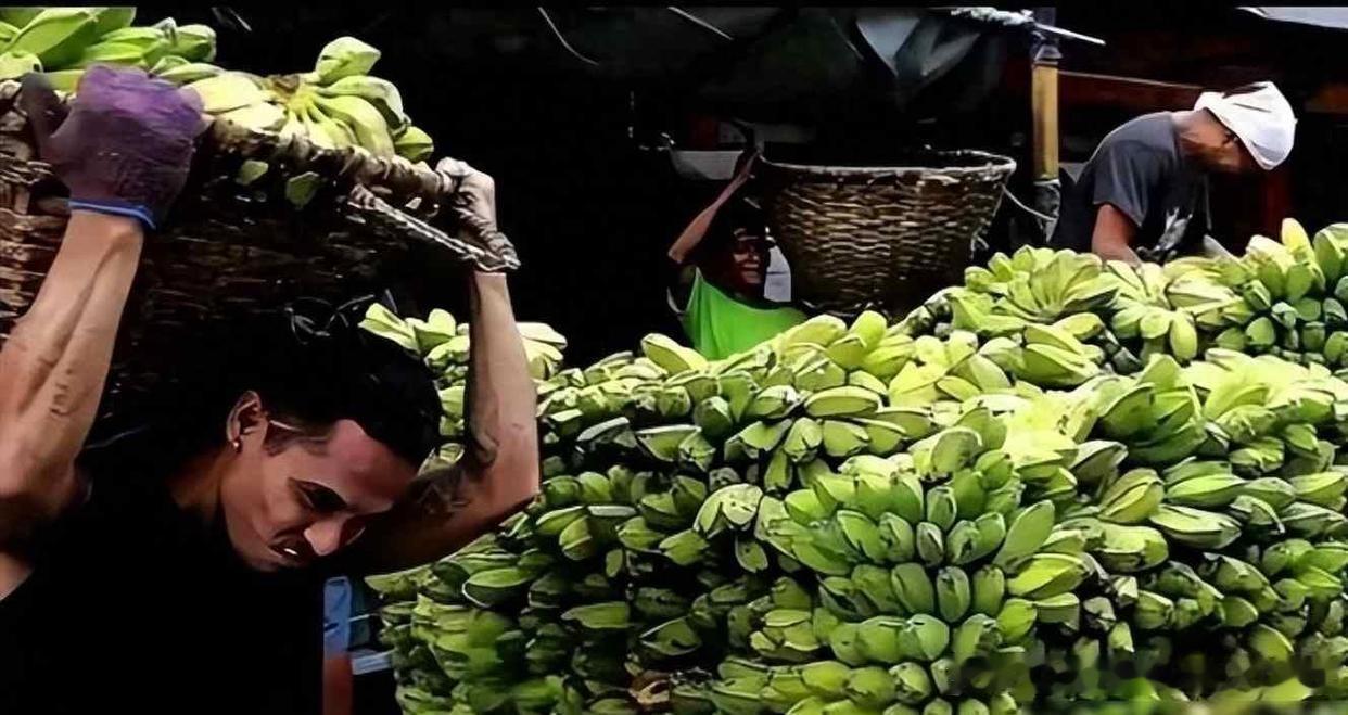 菲律宾国防部长特奥多罗刚说完“吃饭砸锅”的话，菲律宾国内就传出了埋怨中国不买菲律