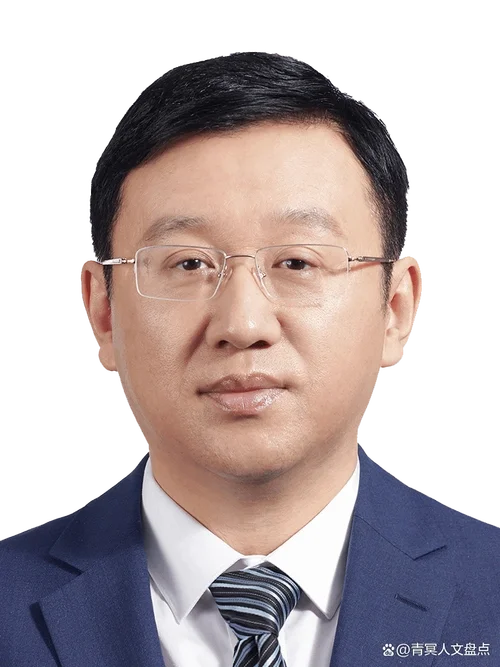 纪委书记主动投案：从“打虎人”到“被打虎