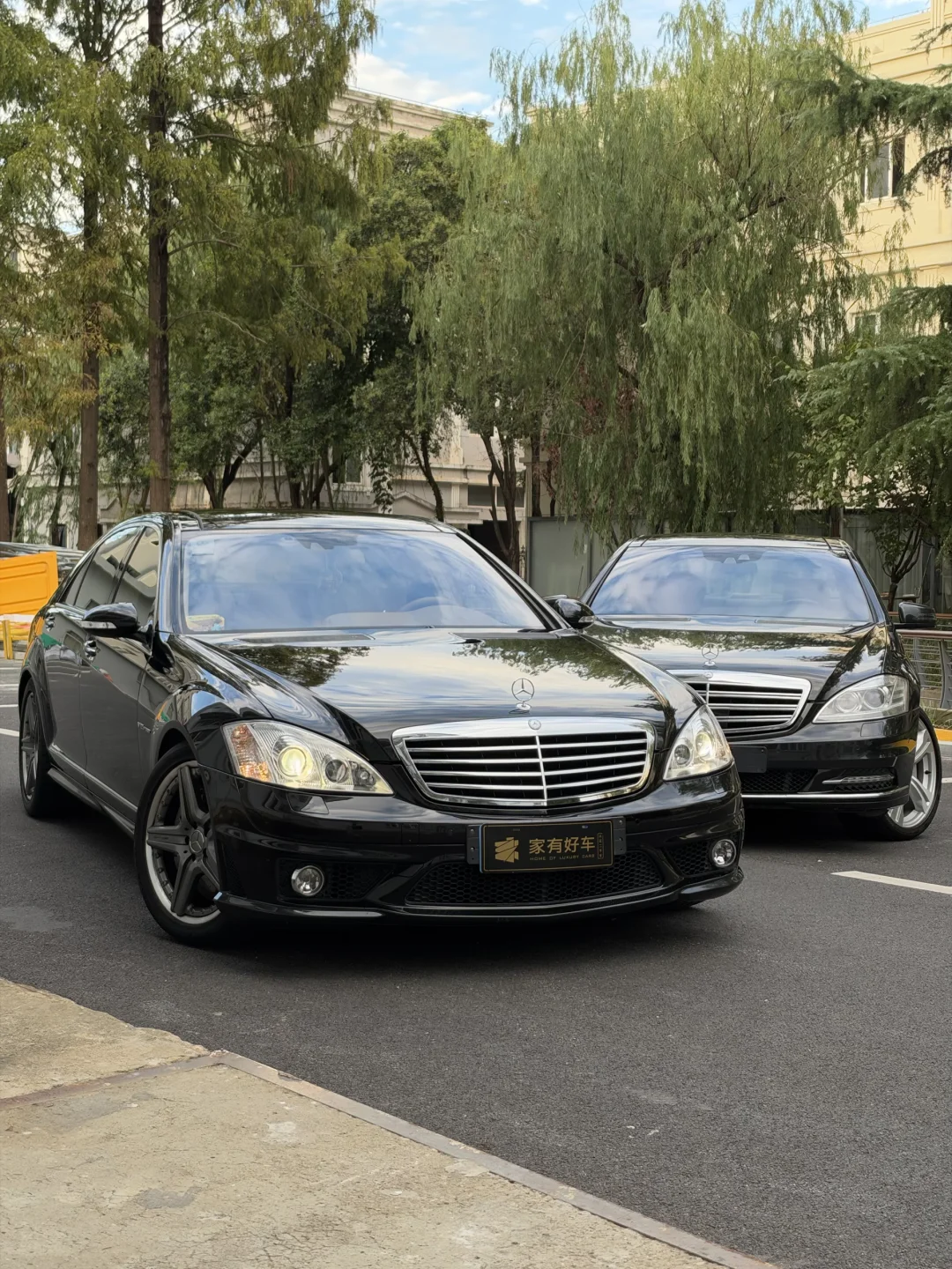 奔驰S600+奔驰S65=V24