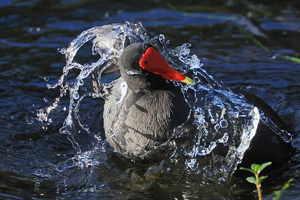 一位成功的生意人说：千万别不择手段抢别人饭碗：你以为捡便宜，其实是在给自己埋雷