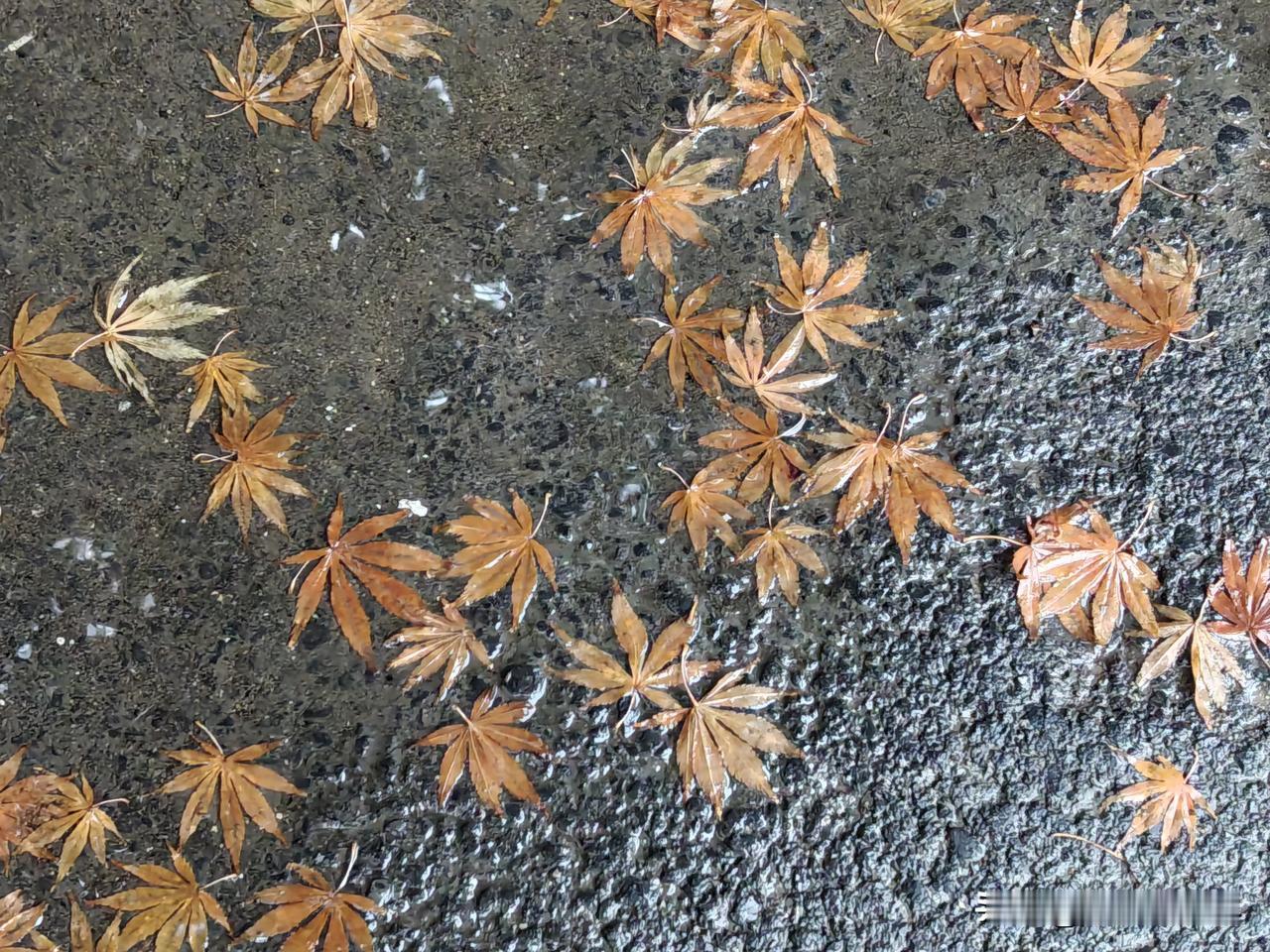 我有个同事，今年84岁了，她老公也是老师，照例两个人退休下来，近二万的退休金，日