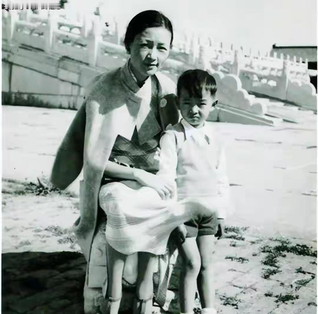 王铎：林徽因抱着孩子在故宫