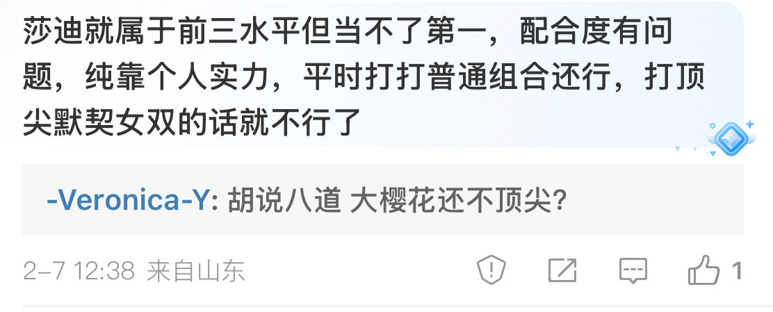 是是是莎迪不顶尖莎迪有问题莎迪只是二流组合你们眼里谁是一流组合倒是让她们上啊