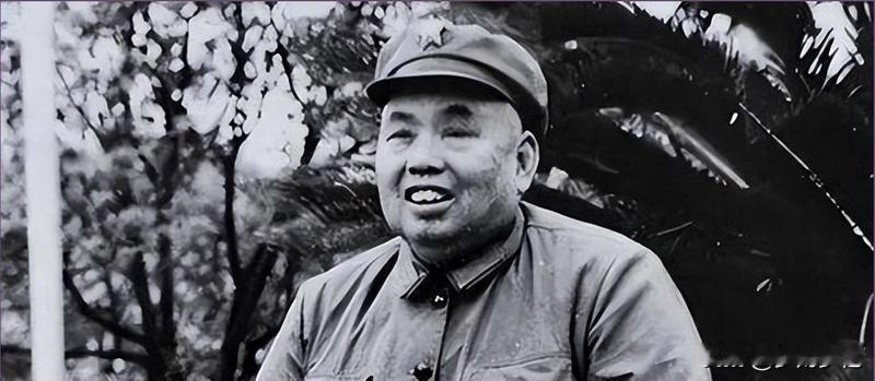 1962年，许世友给落难上将敬酒，被当众骂滚，17年后这位上将一句话，将74岁的