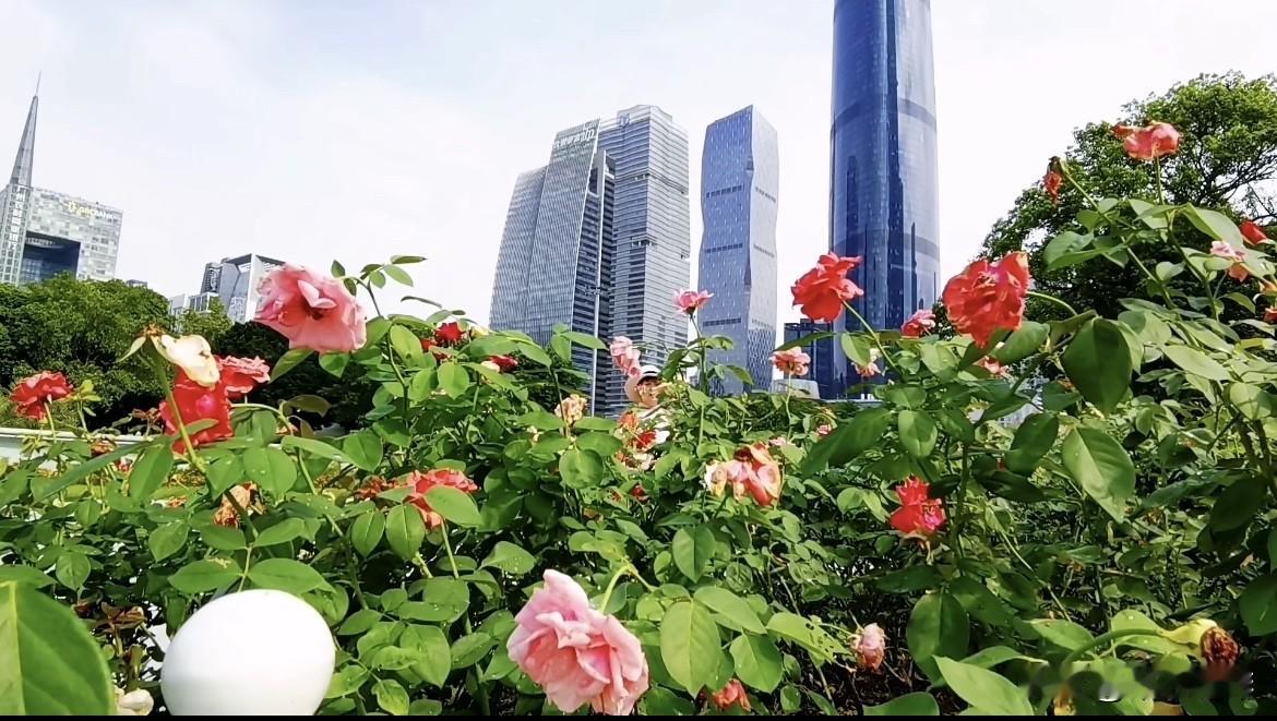 上联：一二三四四季如春下联：五六七八八面玲珑