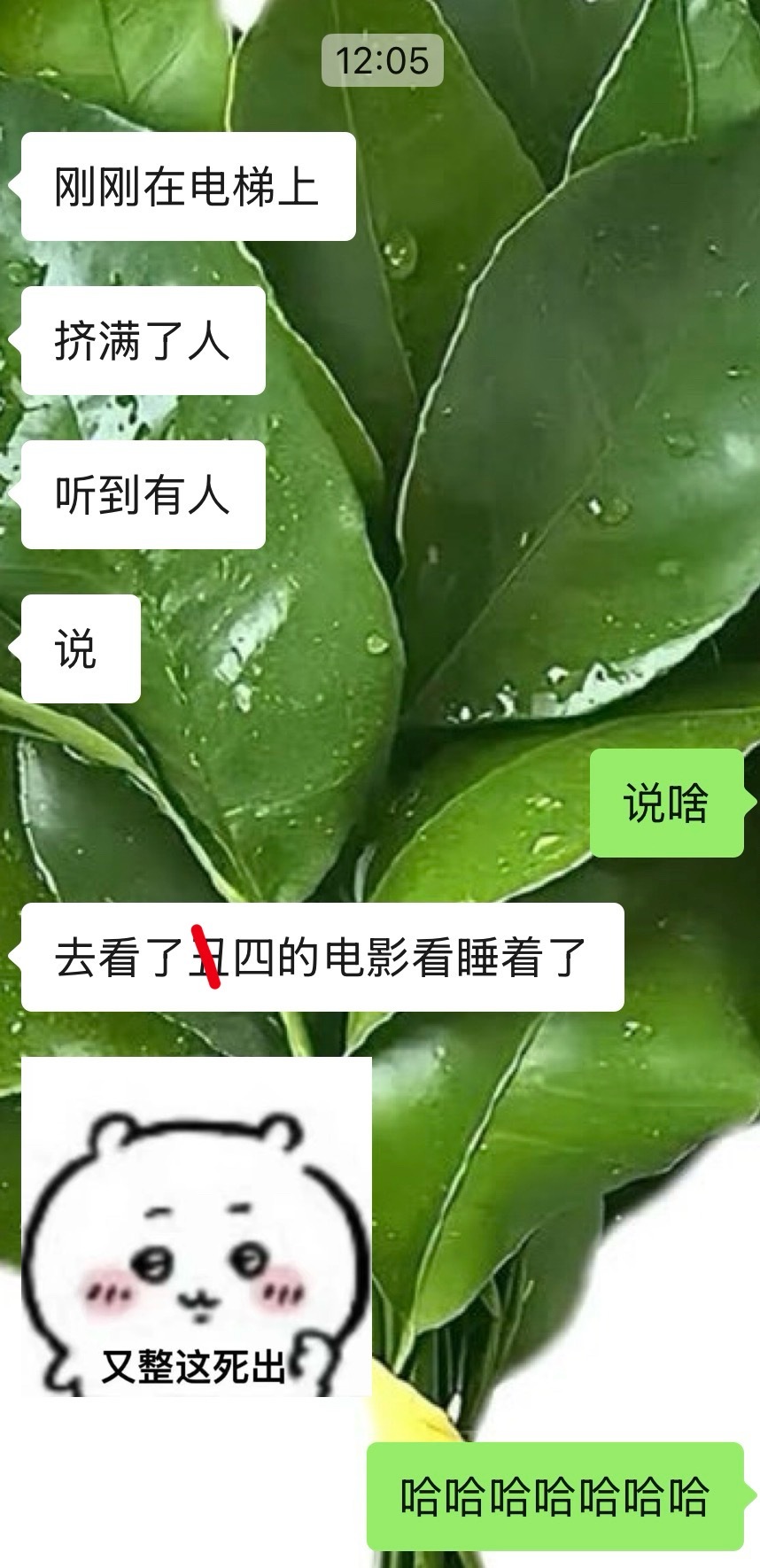周一摸鱼🐟