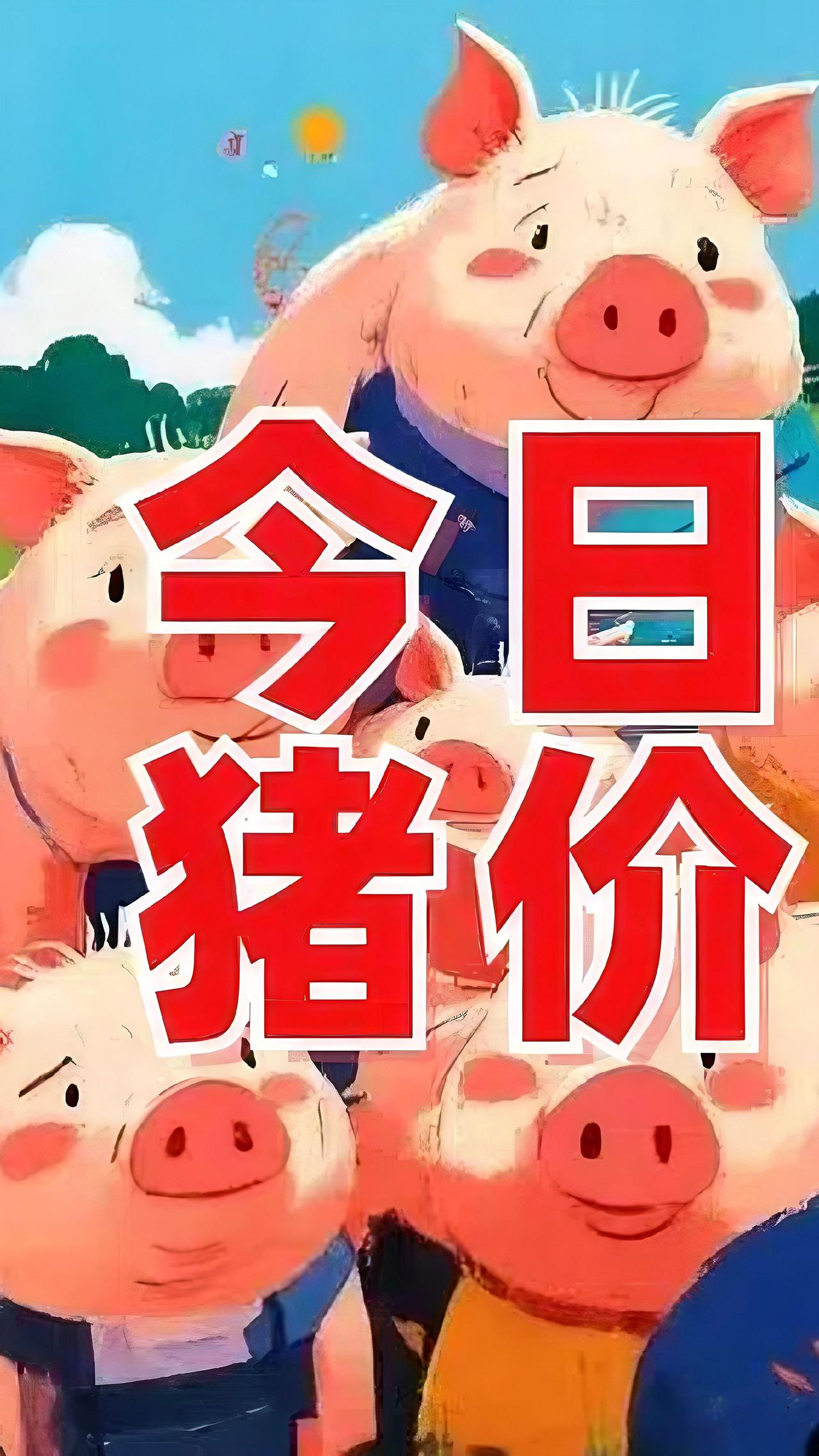 要止跌啦！10月9日全国各地猪价行情。三农养殖农村三农