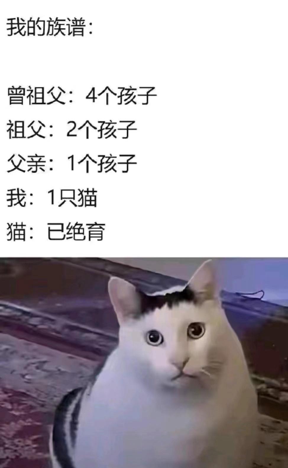 我家的族谱