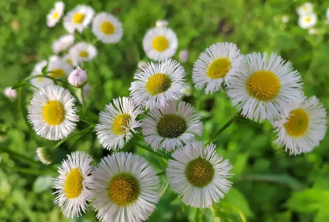 52岁武汉大叔相亲遇到25岁姑娘，两人看对眼直接准备扯证。消息一出，同城另一个