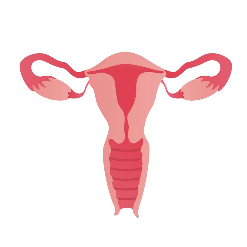 引起输卵管积液的原因是什么