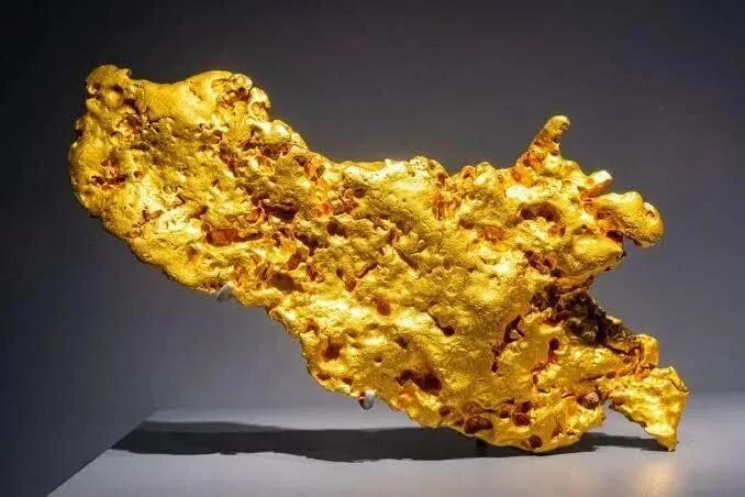 你绝对想不到，一个24岁的中国姑娘，居然被卷进法国自然历史博物馆的金块盗窃案，整