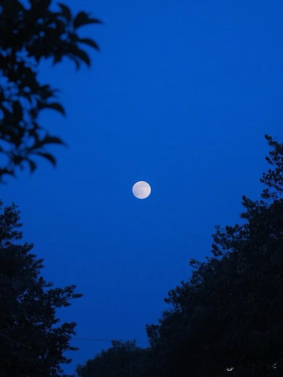 我54岁，5月份送走老妈后，心里一直有一个大胆的想法，不知道该不该对儿子说？我