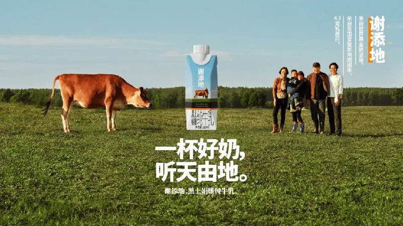 谢添地注定不是“下一个特仑苏”