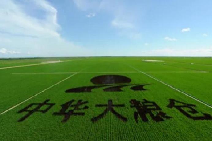 1969年那阵子，北京一帮刚毕业的年轻人，响应号召，挤上火车晃荡两天两夜，直奔黑