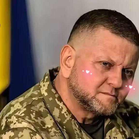 来自外媒的消息说，乌克兰军队前总司令扎卢日内公开表示，一旦乌克兰停火，把士兵从前