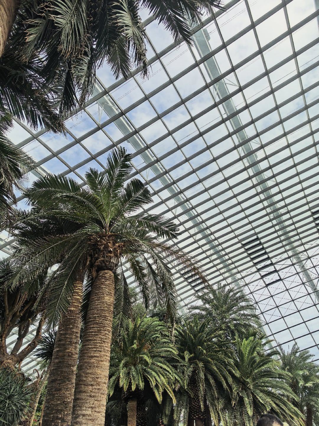 走马观花～～新加坡滨海湾花园💐