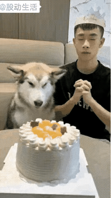 小伙子和狗一起过生日，闭眼许完愿睁眼，打死也想不到狗子能干出这事儿！生日当天