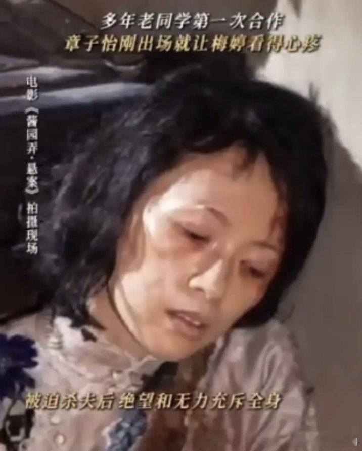 多年老同学第一次合作章子怡刚出场就让梅婷看得心疼​​​
