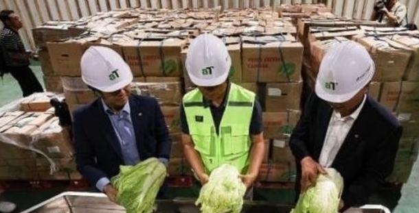 “中国要被我们拖垮了！”2024年，韩国上千人拒绝吃从中国进口的中国白菜，本想给