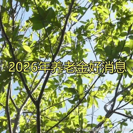 年养老金好消息分享给大家​​​