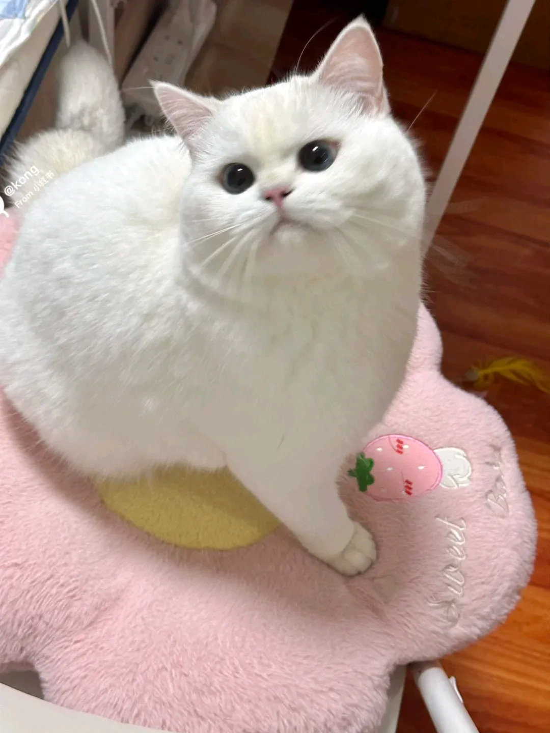 超市买的大冬瓜，微胖无暇，就是有点重。