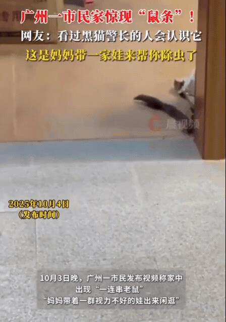 “解释不清了！”广州一女子在家休息时，突然听到桌子下有动静，她小心翼翼走过去，竟