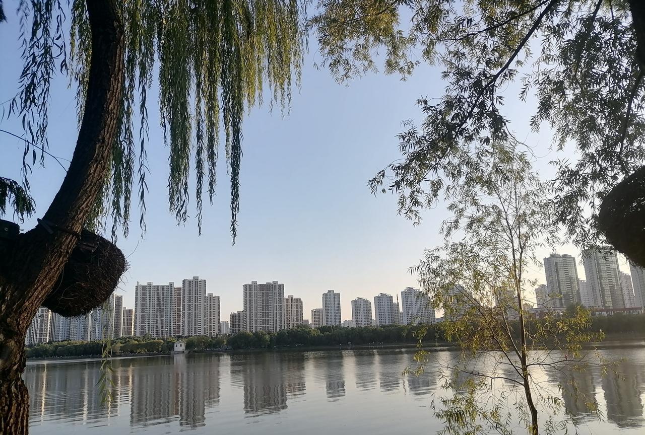 真是想念小时候吃的油条，又便宜又好吃，那时我记得才2元钱一斤，平时还不舍得买，需
