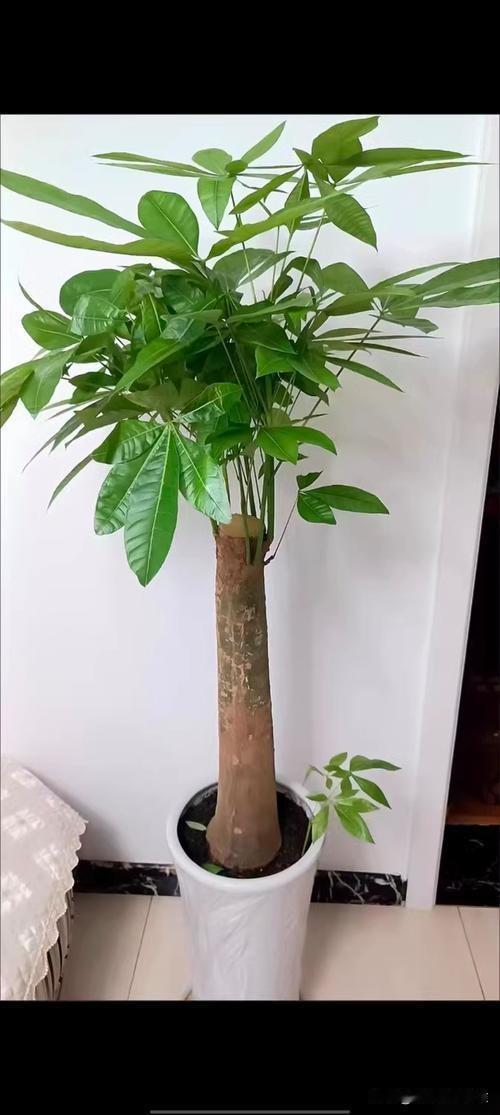 分享今日之感悟人这一辈子，最重要的就是不要去问别人：“人这一辈子，最重要的到底是