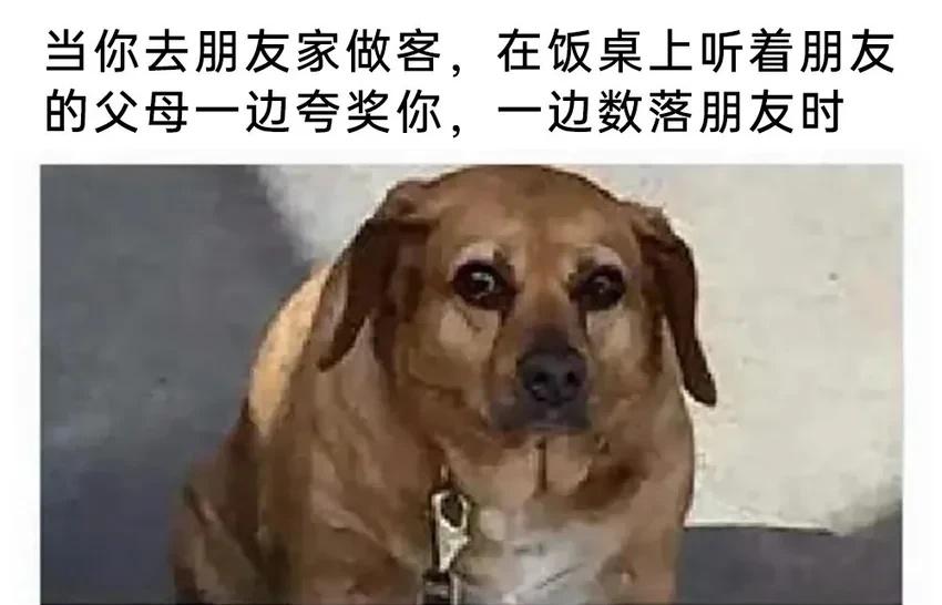 【meme】今日份梗图每日随机更新各种meme梗图，欢迎大家关注有不懂的梗可