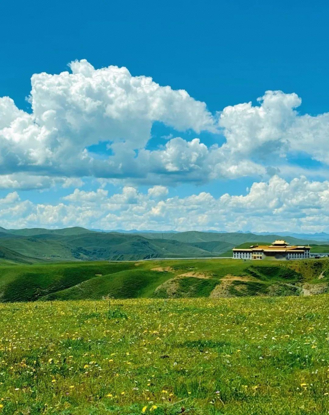 今天安排了一个南外的高三的孩子，小姑娘学习蛮用功的，就是方法不太对，上个礼拜给他
