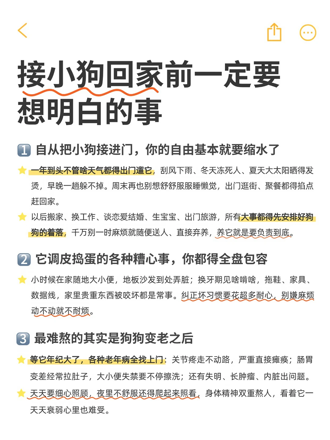 想养狗先把这几件事想明白再带回家