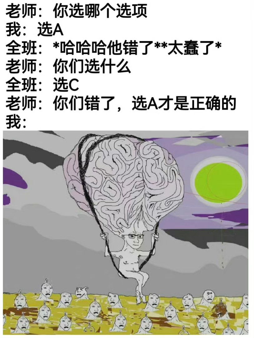 飞起来
