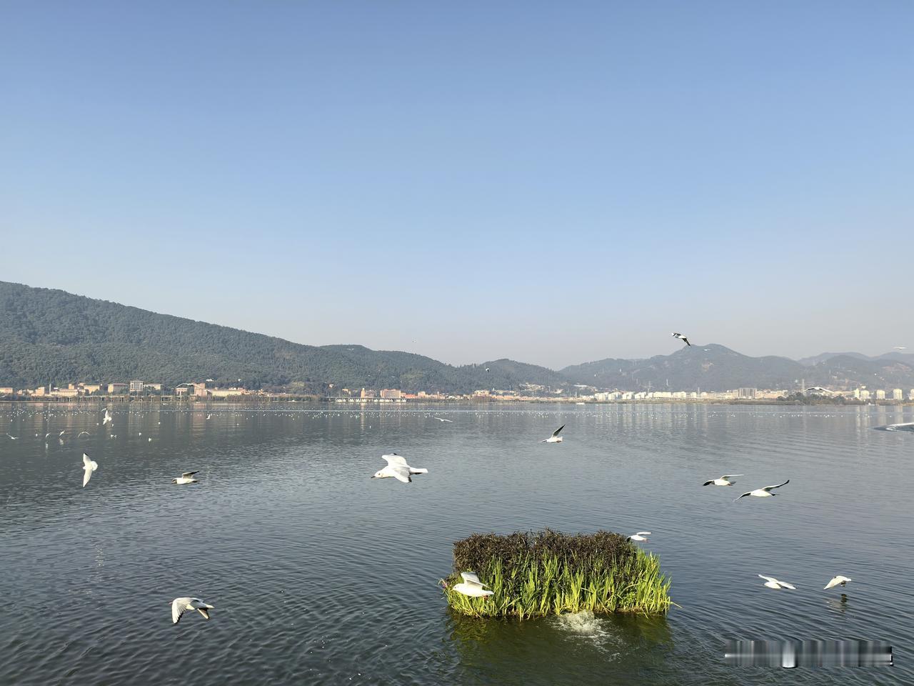 新年爱好打卡新年打卡昆明电池海埂大坝和昆明老街。