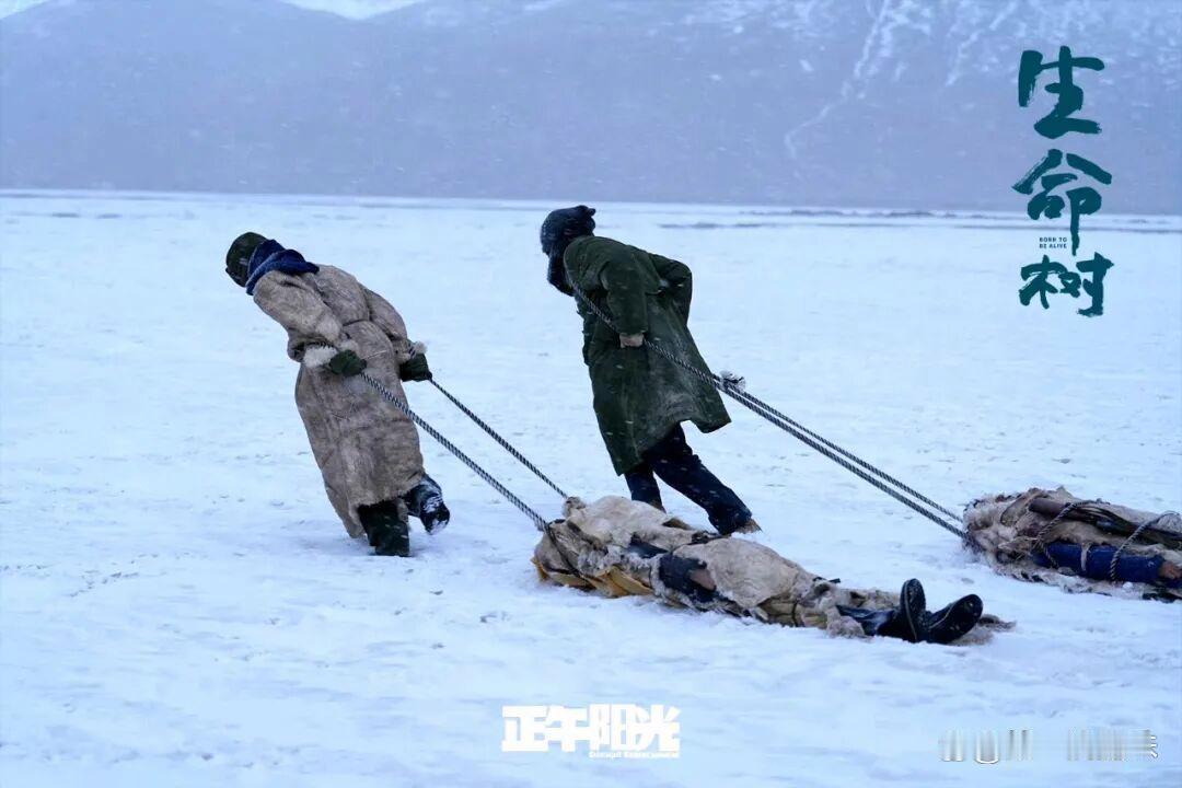 也许白菊还是太急于证明自己了，依旧如此逞强。《生命树》第十三集，看得人揪心不已