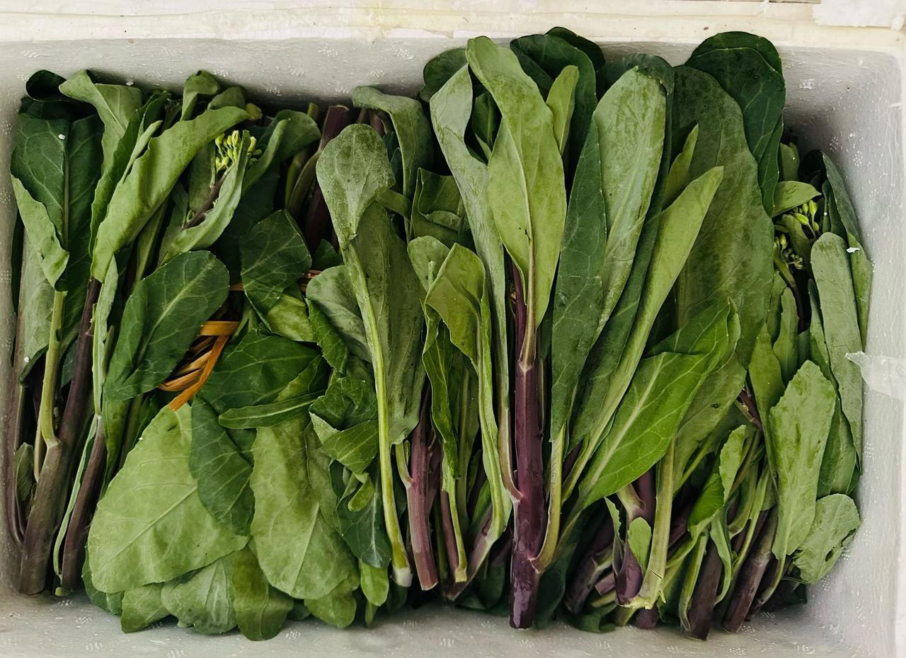 在线请教！在农村生活过几十年，也种过很多蔬菜，自认为懂得蔬菜品种够多了。结果我