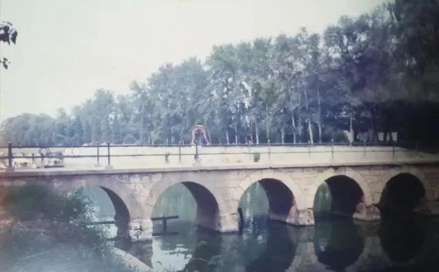 保定东护城河畔的公园它1955年筹建，1957年建成，是保定市最早的公园之一。